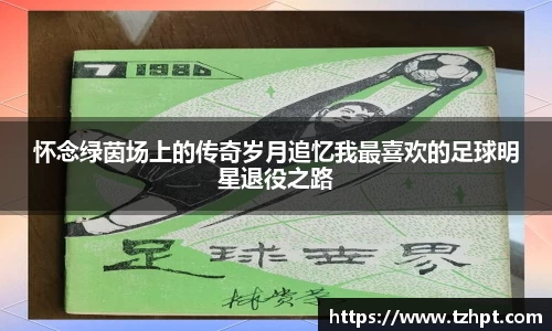 怀念绿茵场上的传奇岁月追忆我最喜欢的足球明星退役之路