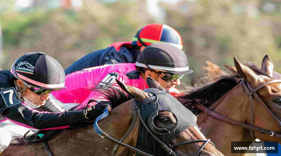 w88win优德官方网站挑战自我，绽放光芒！